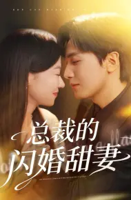 总裁的闪婚甜妻