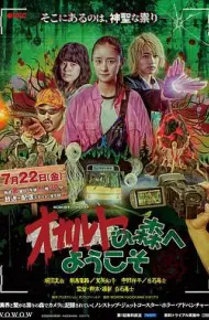 欢迎来到超自然森林