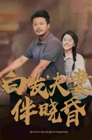白发夫妻傍晓昏
