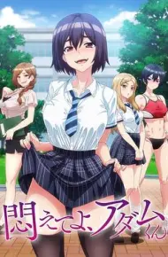 挣扎吧，亚当君