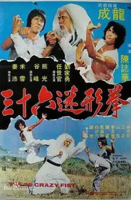 三十六迷形拳