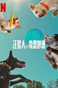 汪星人的奇思妙想
