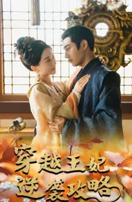 穿越王妃逆袭攻略