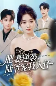 肥妻逆袭，陆爷宠我入怀