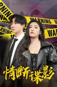 我的特工老婆