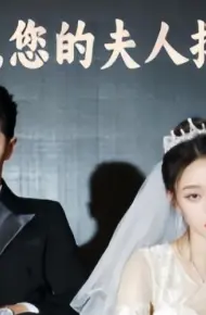顾少,您的夫人摆烂了