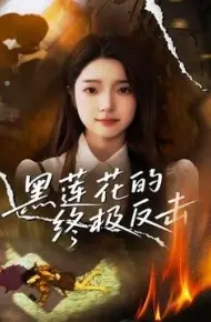 黑莲花的终极反击