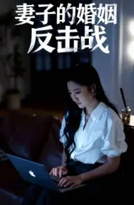 妻子的婚姻反击战