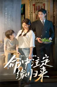 命中注定缘归来