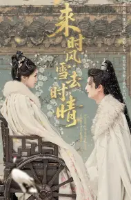 来时风雪去时晴