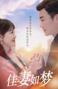 佳妻如梦