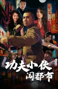 功夫小伙闯都市