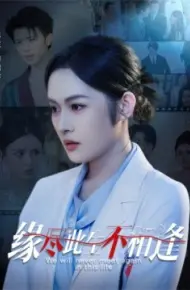 缘尽此生不相逢
