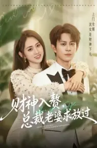 财神入赘，总裁老婆求放过
