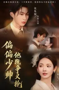 偏偏少帅他既争又抢