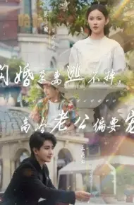 闪婚孕妻逃不掉，高冷老公偏要宠