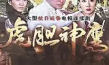 虎胆神鹰