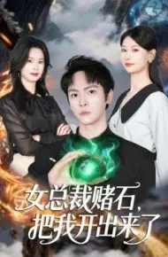 女总裁赌石，把我开出来了