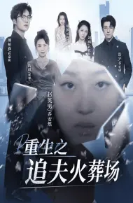 重生之追夫火葬场