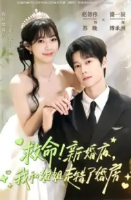 救命!新婚夜,我和姐姐走错了婚房