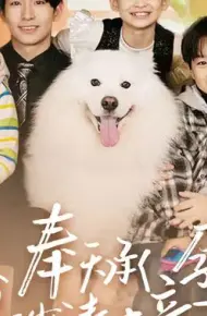 奉天承孕:傅少请接芷(奉天承孕傅少请接芷)