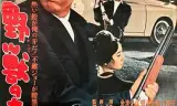 野兽的青春