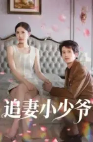 追妻小少爷