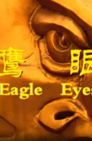 鹰眼2009