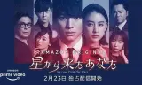 来自星星的你(日版)