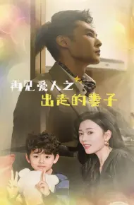 再见爱人之出走的妻子
