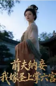 前夫纳妾，我嫁圣上掌六宫