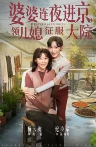 婆婆连夜进京，领儿媳征服大院