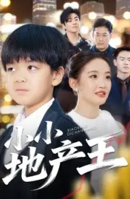 小小地产王