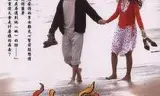 火鸟
