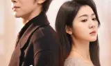 所有的巧合都是秘密(陆总夫人她只想离婚)