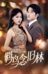 羁鸟念旧林
