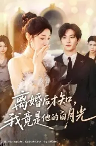 离婚后才知,我竟是他的白月光