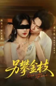另攀金枝