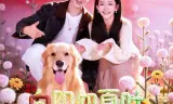 向阳知夏时
