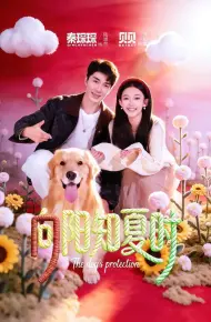 向阳知夏时