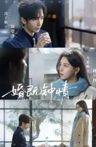 婚既钟情