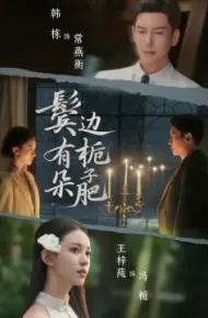 鬓边有朵栀子肥