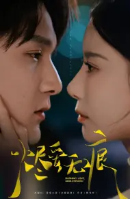 烬爱无痕