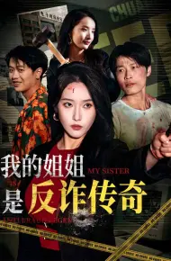 我的姐姐是反诈传奇