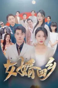 女婿回乡
