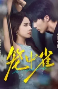 笼中雀