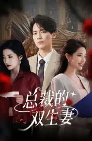 总裁的双生妻