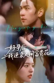 好孕后我逆袭人间富贵花(夜先生的小欢喜)