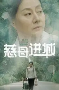 慈母进城