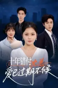 十年错付:沈总,爱已过期不候